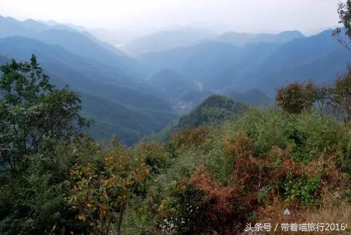 四明山该去哪,四明山观景台晚上能看风景吗