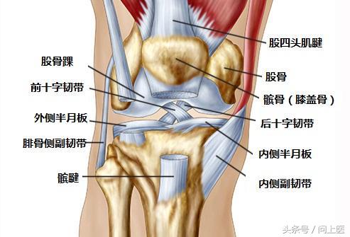 老年人膝盖疼痛的原因和解决方法,上楼梯膝盖疼痛的原因和解决方法