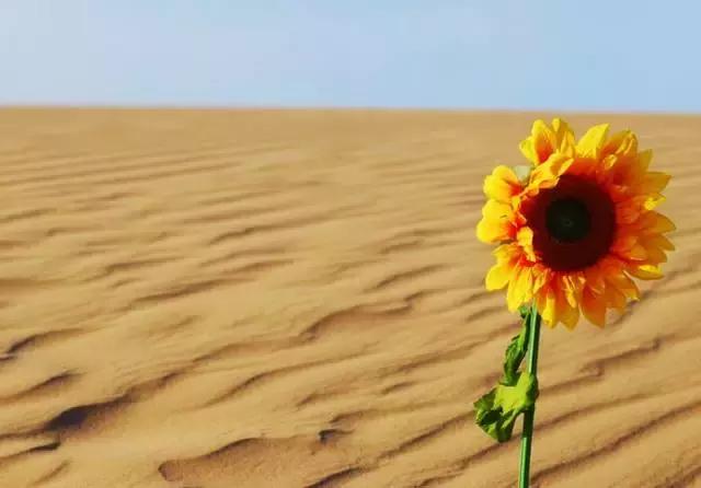 邪淫何以如此折福损寿看后让你心服口服！