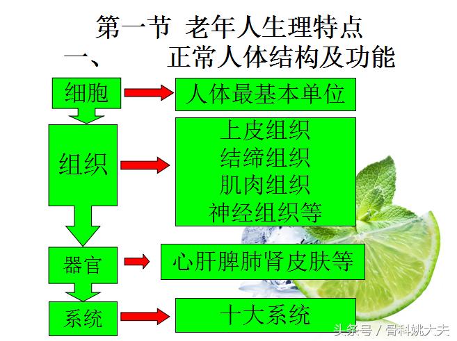 老年人护理基础知识大全,老年人的护理与保健知识