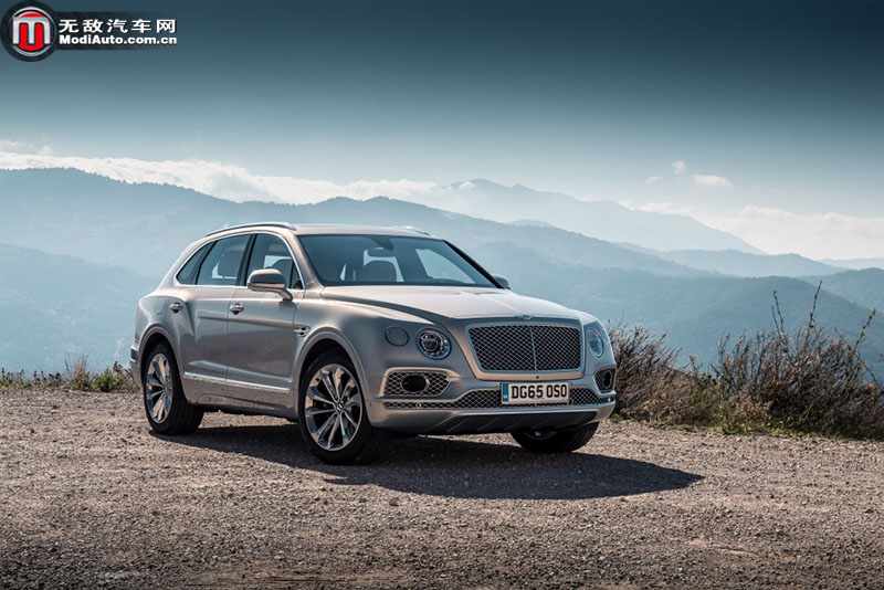 大众mlb平台架构,本是同根生