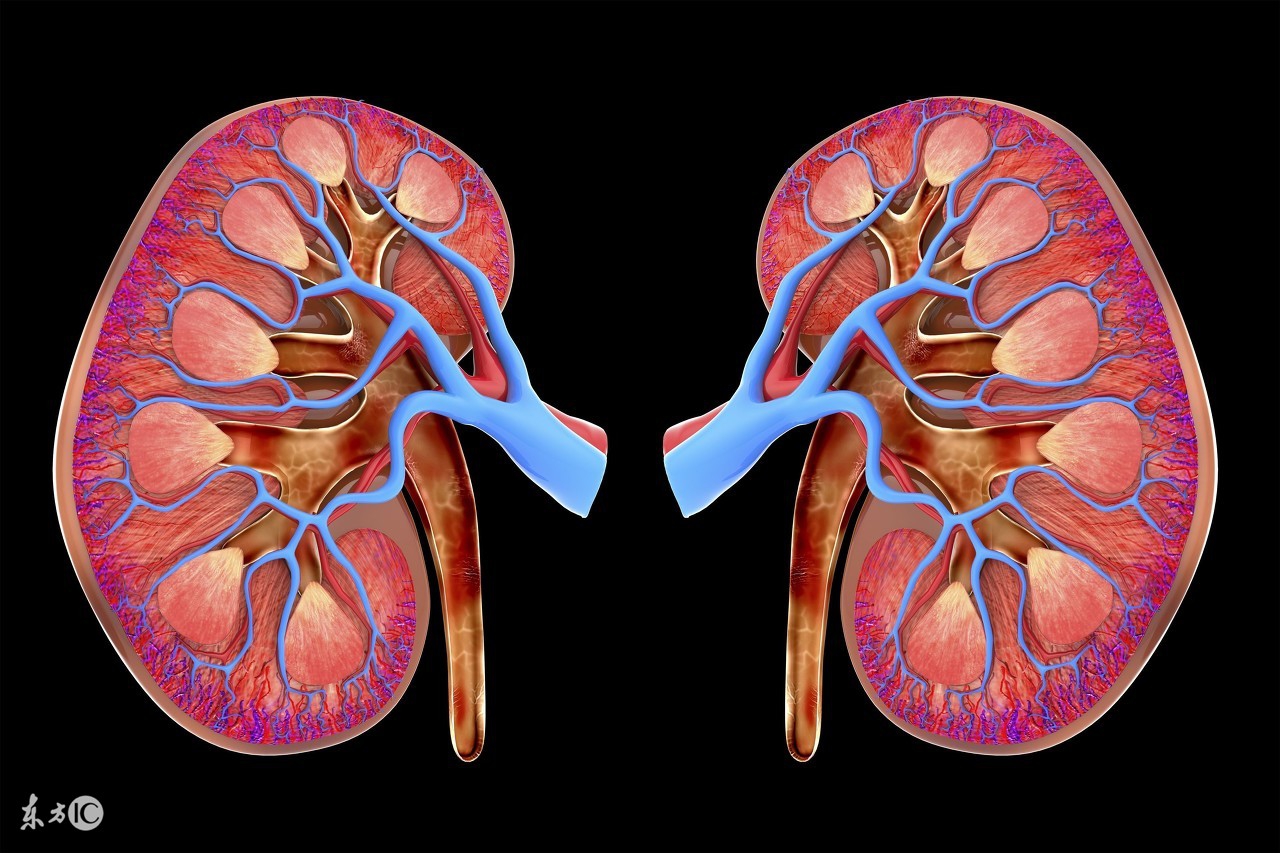 糖尿病出现蛋白尿严重吗,小便有一点血尿怎么回事