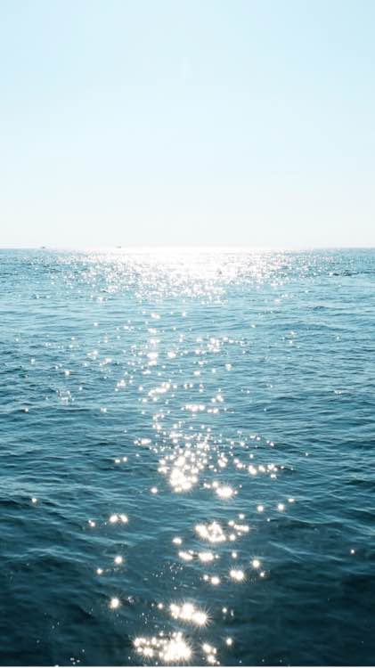 唯美锁屏壁纸图片大全少女心,向日葵唯美壁纸锁屏图片