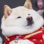 双11到了,微梦给大家精心挑选了10个美妆大号,心动了吗?