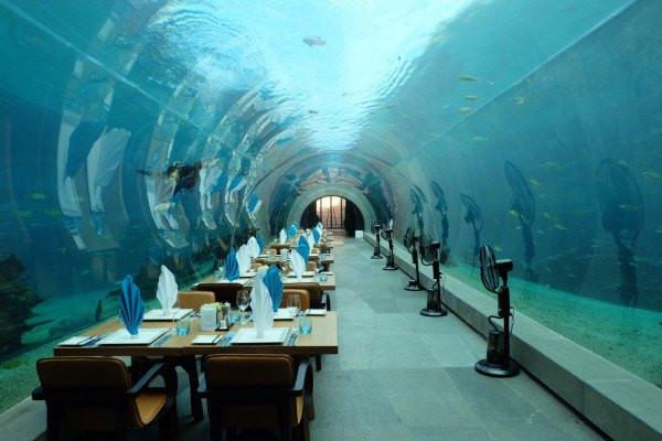 国内亲子游必去的10个海边,假期带孩子去大海旅游推荐