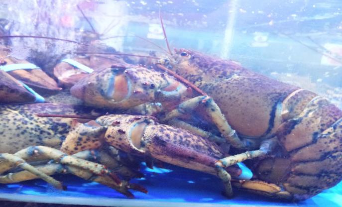 国内亲子游必去的10个海边,假期带孩子去大海旅游推荐