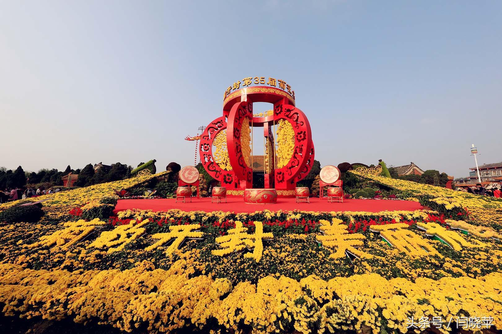 悠然菊影从何觅？南山菊姿下龙亭