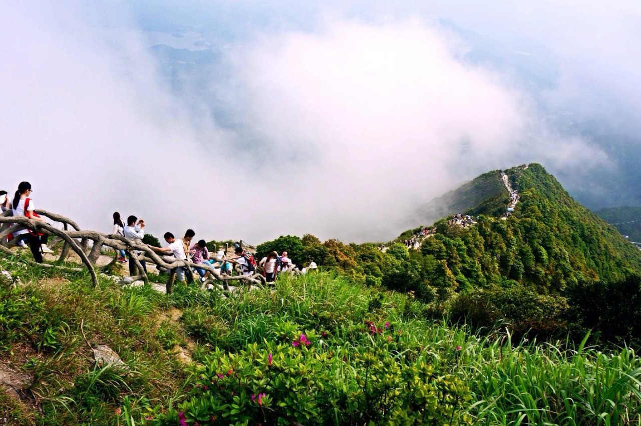 鹏城第一峰梧桐山海拔,鹏城第一峰梧桐山是大梧桐吗