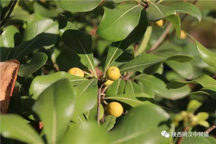 天气这么好，去汉中堂宏广场逛逛！