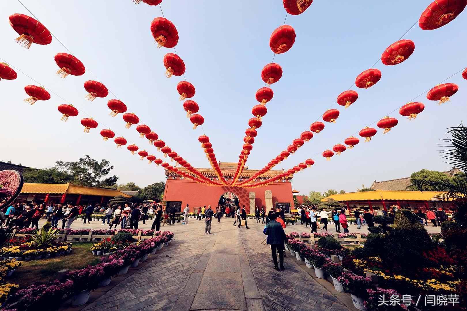 悠然菊影从何觅？南山菊姿下龙亭