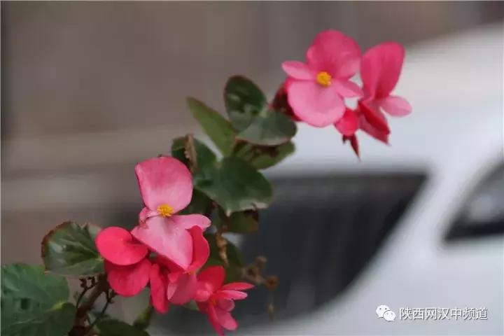 天气这么好，去汉中堂宏广场逛逛！