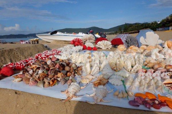 国内亲子游必去的10个海边,假期带孩子去大海旅游推荐