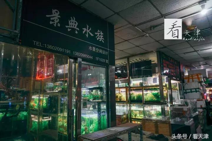 天津宝鸡道花鸟鱼虫市场地铁,宝鸡道花鸟鱼虫市场天津