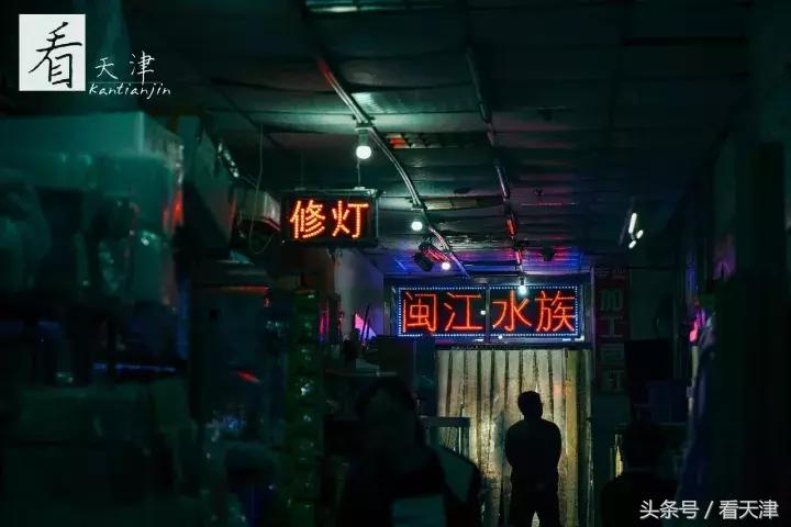天津宝鸡道花鸟鱼虫市场鹦鹉全吗,天津市宝鸡道花鸟鱼虫市场文玩