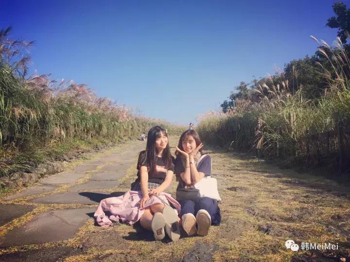 Trip丨如何在济州岛练就“济州瘫”（下部）