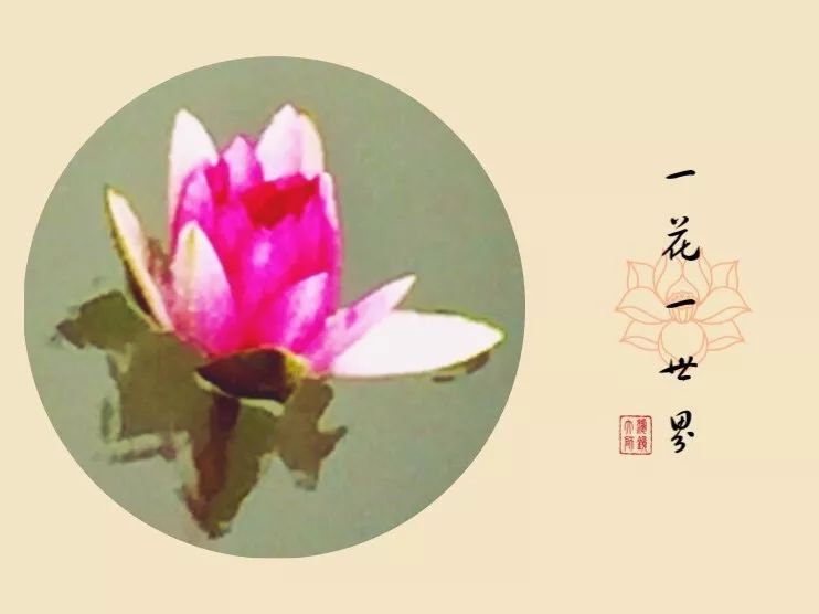 手机摄影作品赏析,手机摄影作品也可以美不胜收