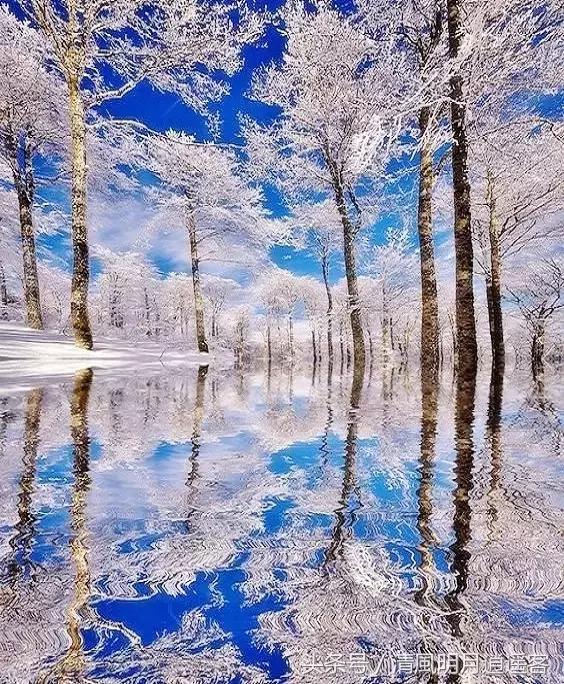 独钓寒江雪，风雪夜归人，200句经典冬天诗句