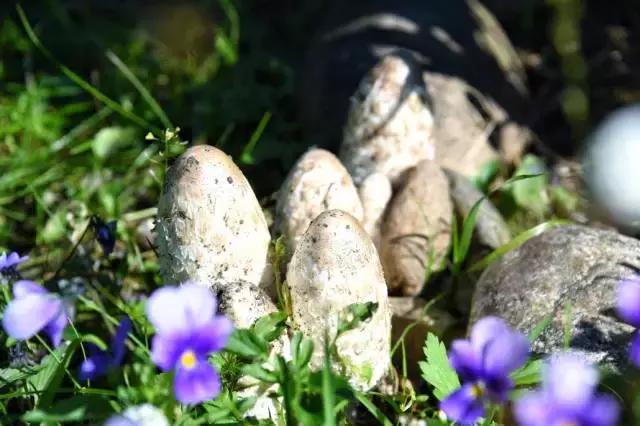 坐火车穿越俄罗斯西伯利亚,欧洲火车途经小镇