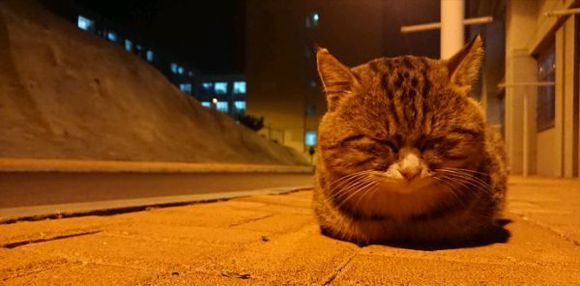 dx200新版,耳边评测图文