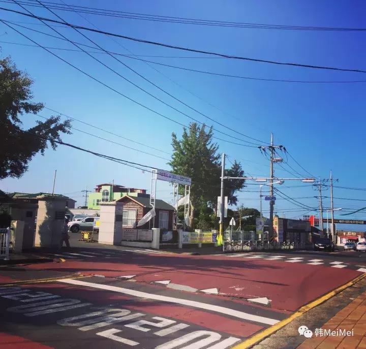 Trip丨如何在济州岛练就“济州瘫”（下部）