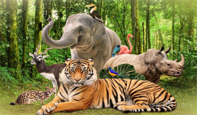 富国岛海岛风景,富国岛最新攻略图