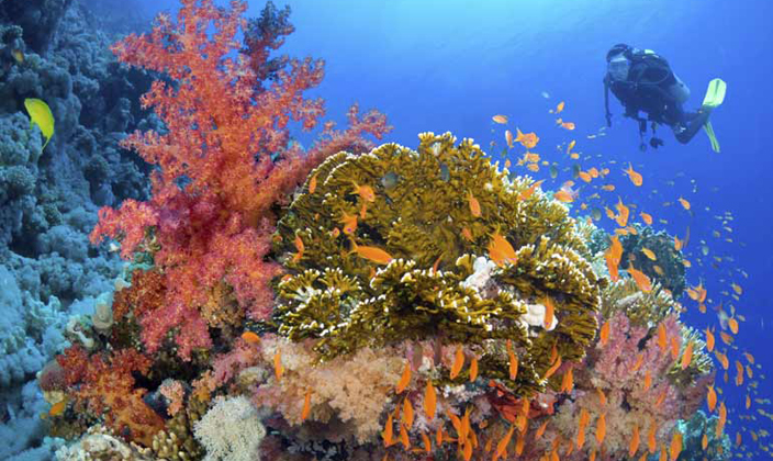 马尔代夫满月岛,满月岛