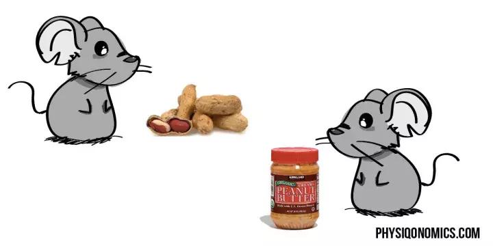 食物卡路里表大全减肥,减肥各种食物卡路里表