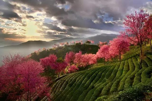 大理没有商业化的旅游景点,大理没被发现的景点