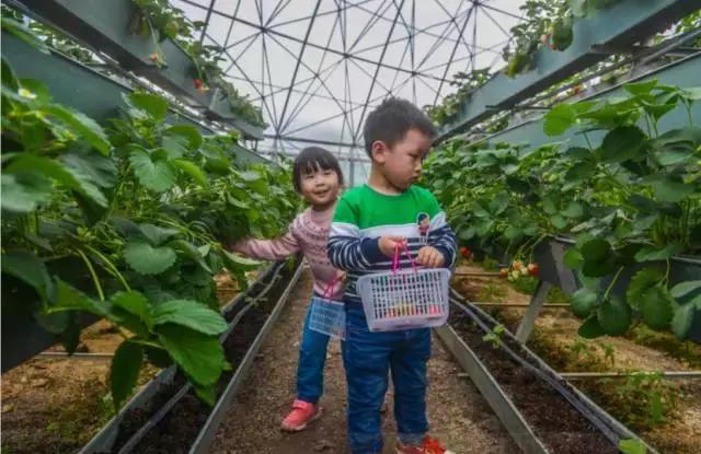 乡村振兴国家重点扶持项目,国家未来三十年重点发展乡村振兴