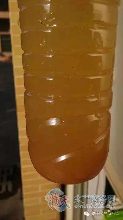 齐同俊医生年度总结,渔医齐同俊简介