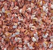 止血补血食物,具有补血滋阴止血的药物是什么