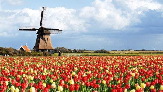 世界十大绝美现代建筑之作 (世界著名经典建筑设计图)