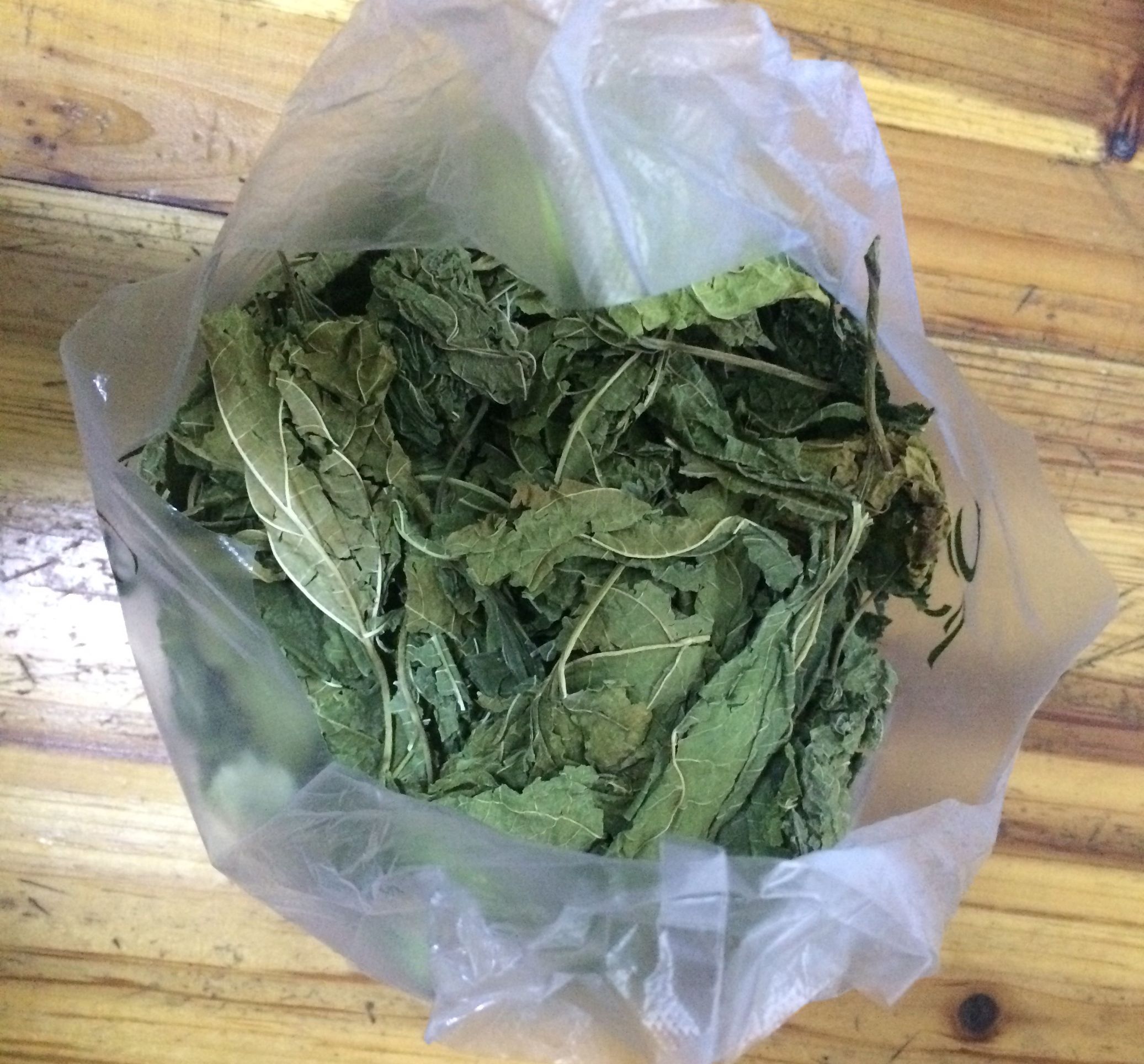 支气管发炎咳嗽最简单的止咳方法,孩子反复感冒长期咳嗽的调理方法