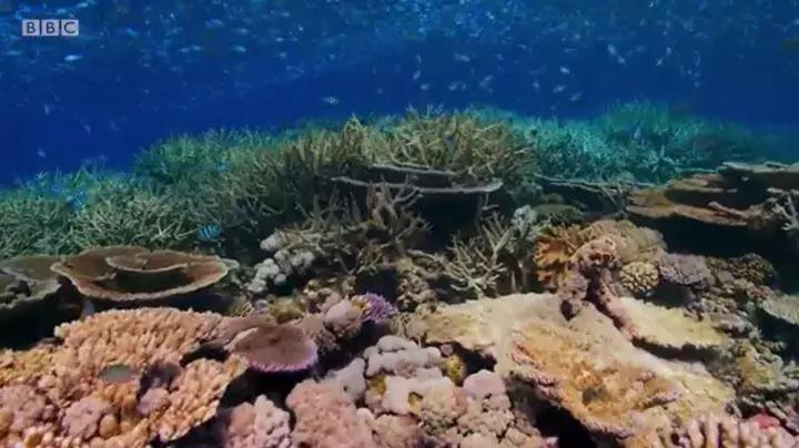 哈利波特又出新电影了吗 (哈利波特最近有没新电影)