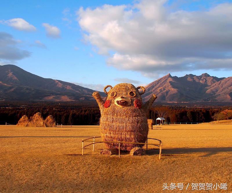 游轮旅行日本攻略,坐游轮去日本大概需要多少钱