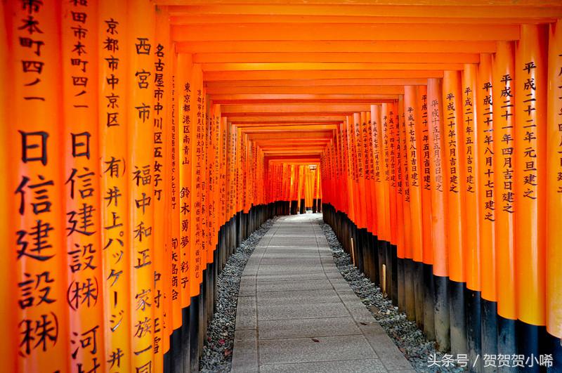 游轮旅行日本攻略,坐游轮去日本大概需要多少钱