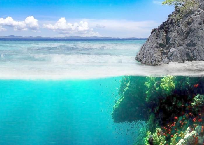 如何平衡职场上的真心与利益,如何在职场上做到外圆内方