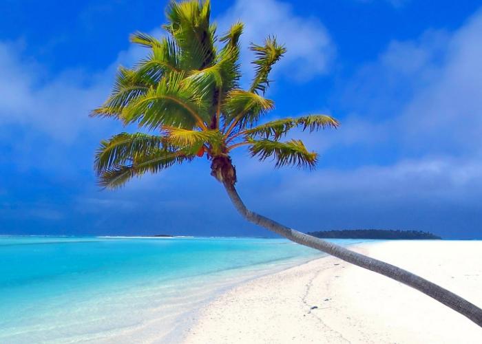 如何平衡职场上的真心与利益,如何在职场上做到外圆内方