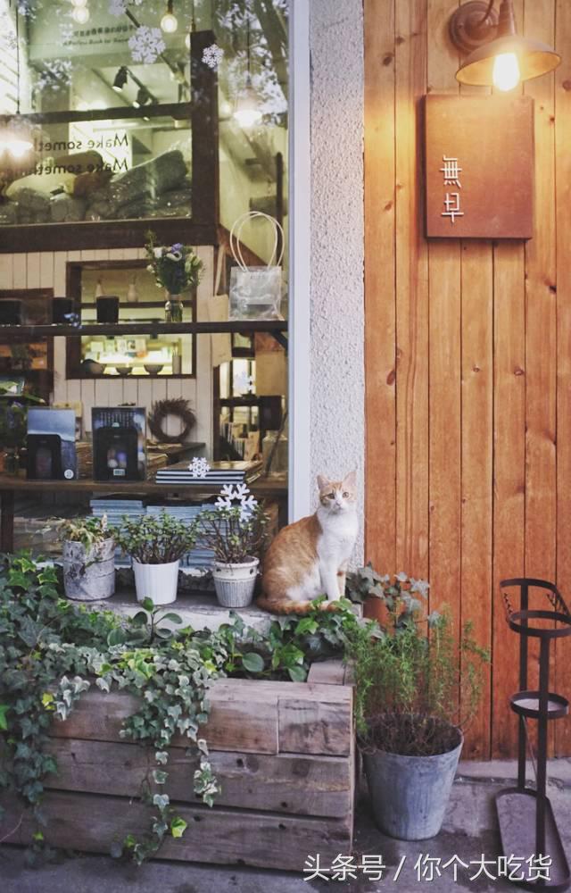 成都美食推荐街边必吃,城市风味不踩坑美食指南