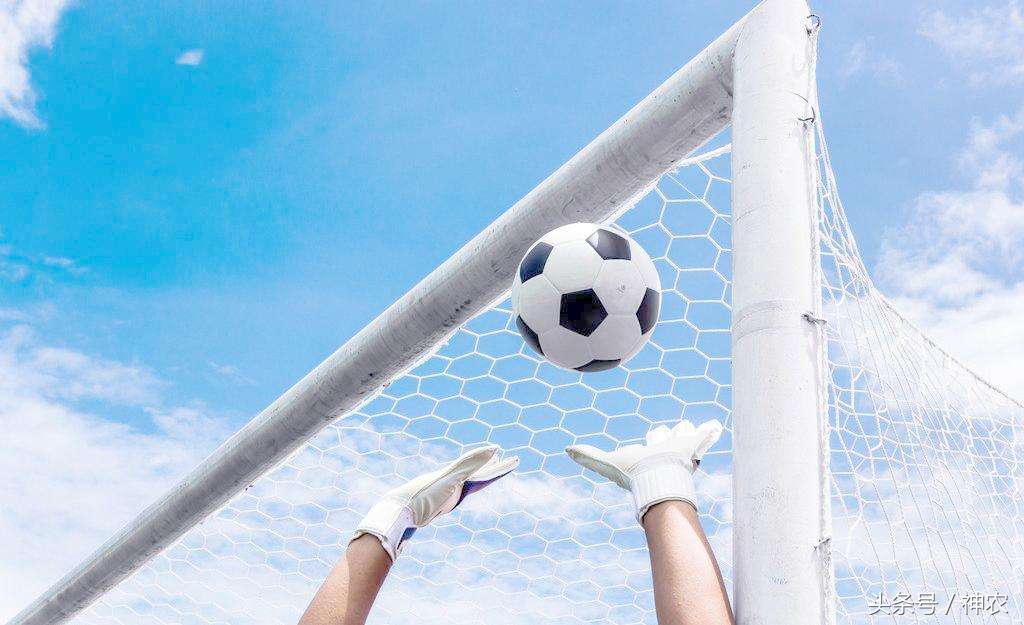 冠军之心足球小说全套,足球之冠军之心