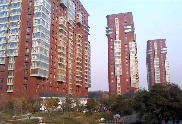 为了逃离雾霾,我在公园旁边买了房子(下)