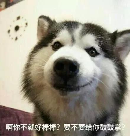 閫傚悎灏戝コ鐢ㄧ殑骞充环缇庡,濂界敤鍙堜笉璐电殑骞充环缇庡