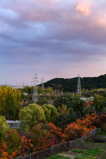 尼康d850选择首次曝光,尼康d850可以碾压同价格的微单吗