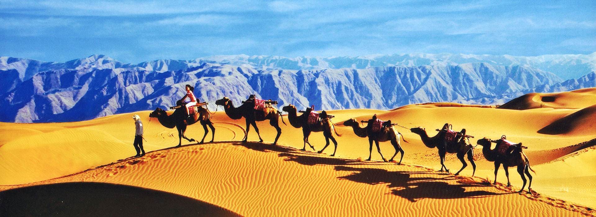 宁夏，7大必去之地！