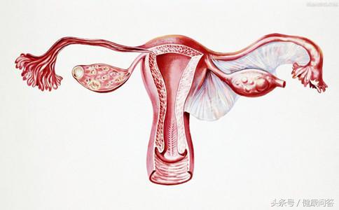 清理子宫垃圾的最佳方法,什么时间段清理子宫的垃圾最好