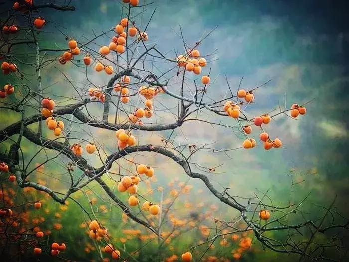 青岛最美地铁,青岛最美九大风景区