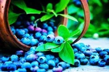 青岛最美11号线风景,青岛最美地铁和最浪漫的地铁