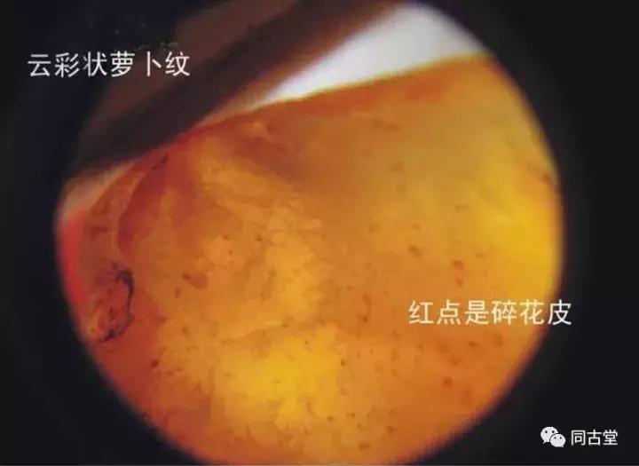 田黄石价值及图片,真正的田黄石图片