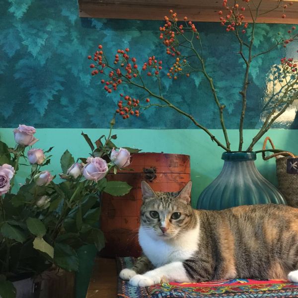 深圳有十几栋房子的90后女房东,90后女孩深圳租房