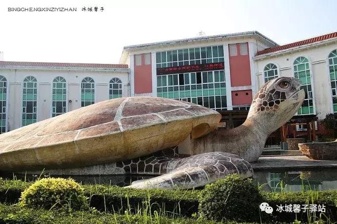 巽寮湾最美的海景,巽寮湾美丽的大海